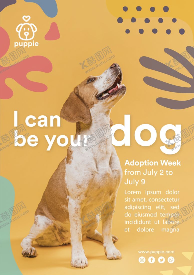 编号：38225710091617427345【酷图网】源文件下载-宠物海报