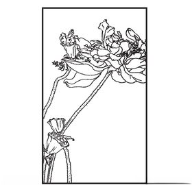 荷花