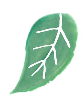 绿色装饰