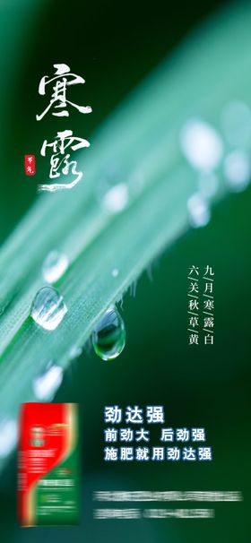 寒露海报小雪霜降小