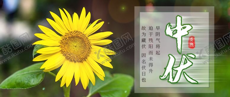 编号：49227607011751525558【酷图网】源文件下载-三伏天