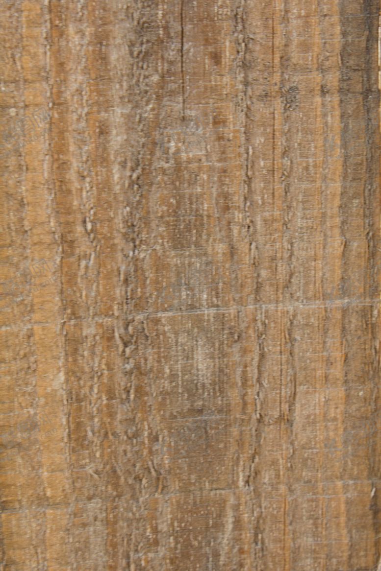 编号：47624209102247333924【酷图网】源文件下载-树皮