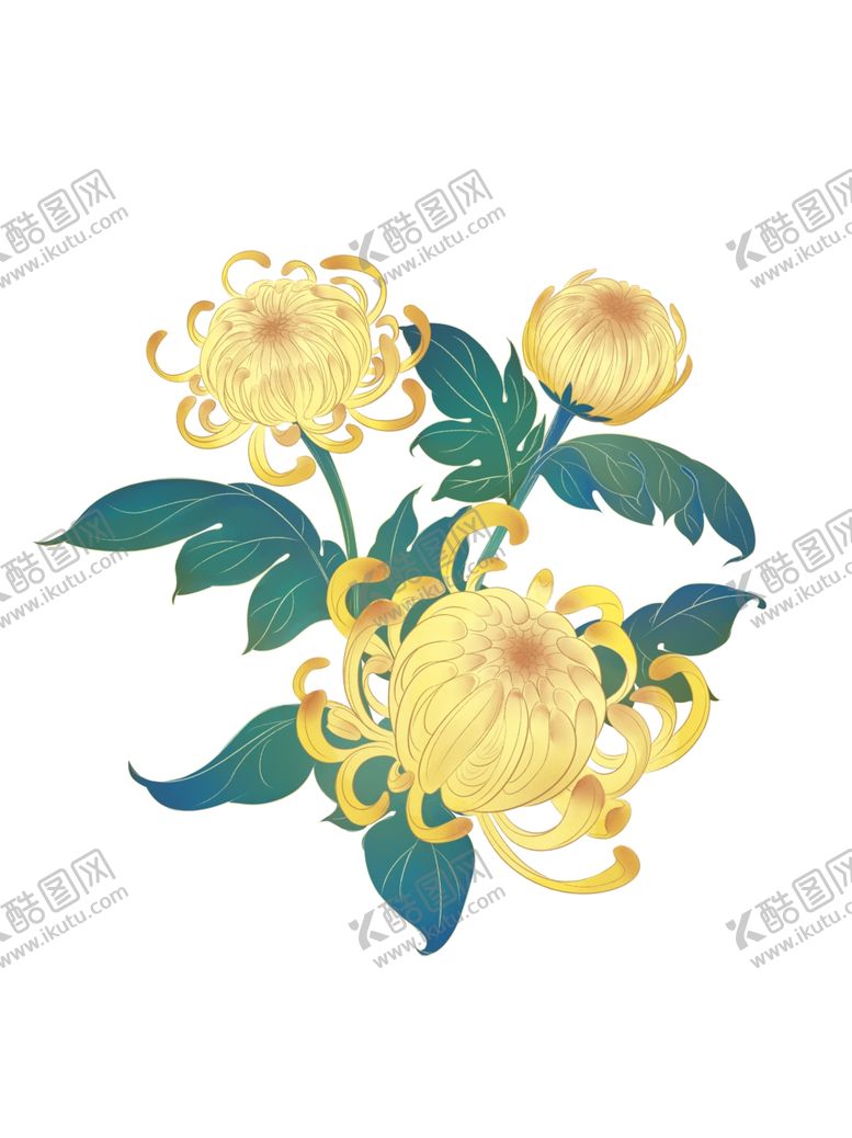 编号：99169512060315305383【酷图网】源文件下载-菊花