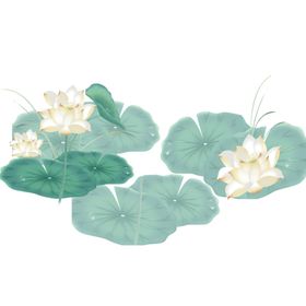 荷花素材叶插画古典手绘古风