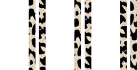 豹纹女装斑马纹