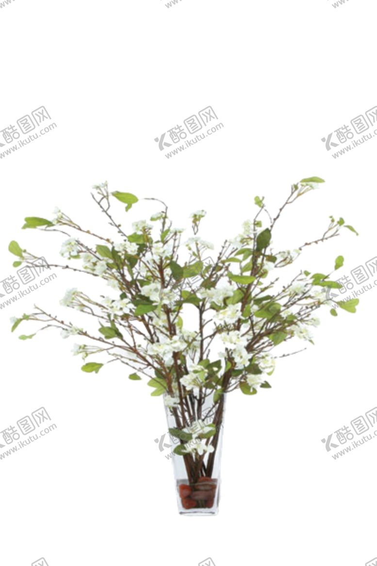 编号：39382707042210022601【酷图网】源文件下载-免抠背景花草树木