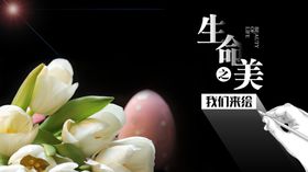 生命之美你我共绘