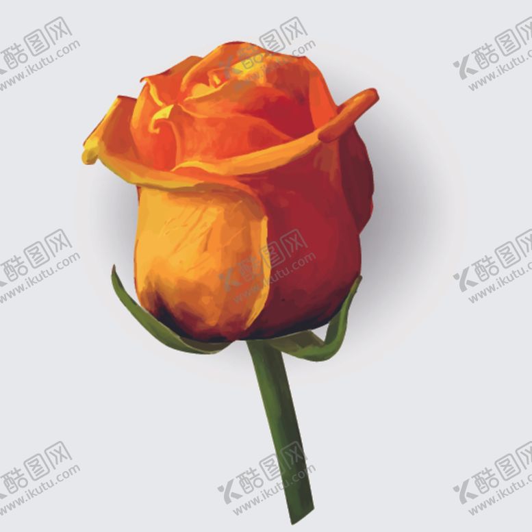 编号：25877203151821504800【酷图网】源文件下载-单支黄色玫瑰花