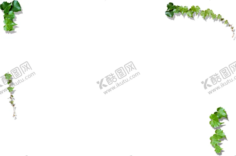 编号：82021206181201392997【酷图网】源文件下载-绿色相框