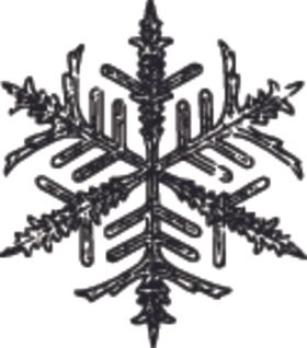 黑白手绘雪花