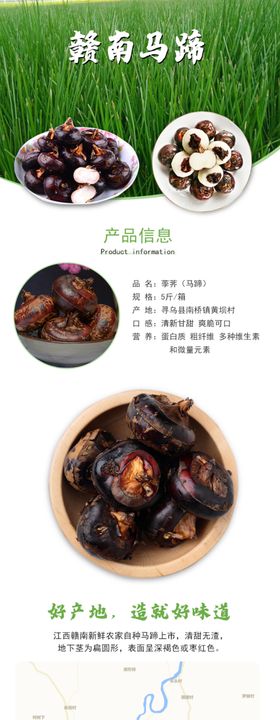 马蹄详情电商详情蔬菜新鲜