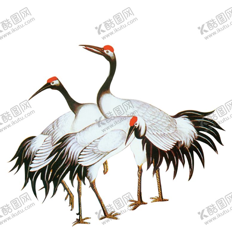 编号：15323310300353178214【酷图网】源文件下载-仙鹤