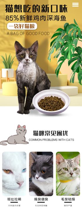 猫粮产品详情页模板