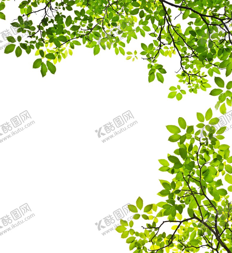 编号：89171810241905095012【酷图网】源文件下载-绿色相框