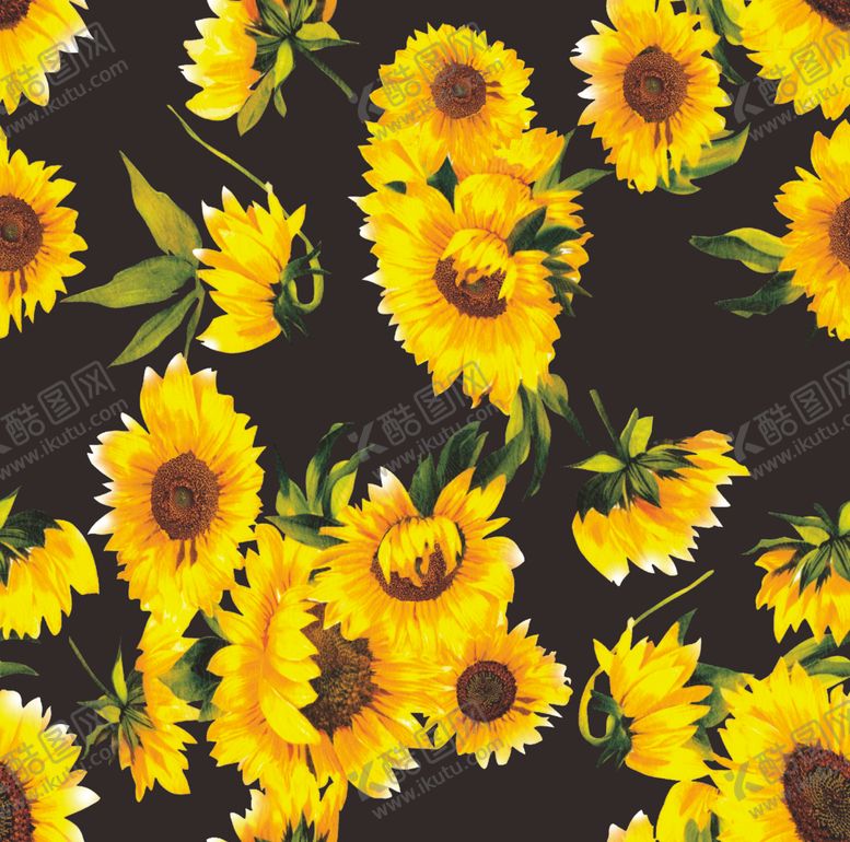 编号：42000910181502152842【酷图网】源文件下载-向日葵