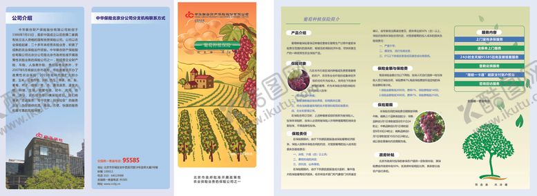 编号：25125309231452348019【酷图网】源文件下载-葡萄折页