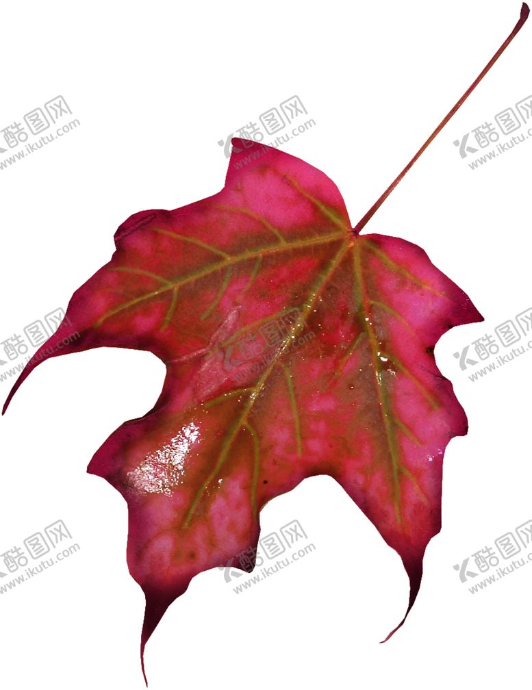 编号：16026710091724401445【酷图网】源文件下载-花边