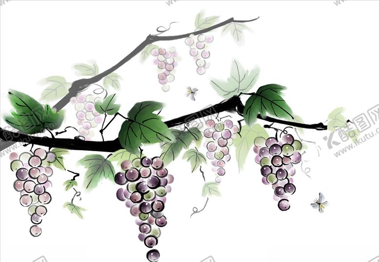 编号：65453810100134314550【酷图网】源文件下载-水墨葡萄