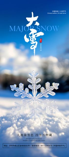 蓝白色简约照片大雪节气宣传海报