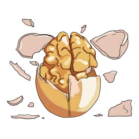 坚果食物核桃巴旦木杏仁破壳素材