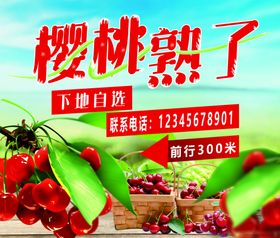 樱桃熟了