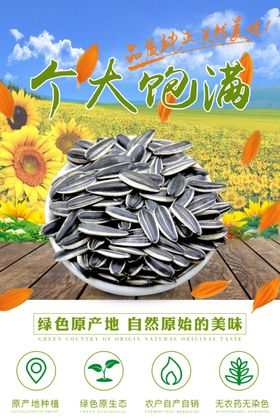 瓜子海报