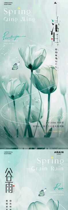 清明谷雨郁金香海报