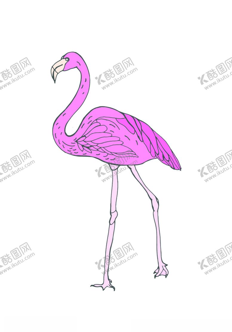 编号：85166907041255559496【酷图网】源文件下载-火烈鸟