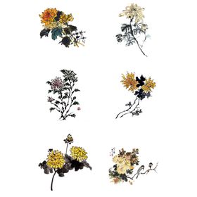 菊花