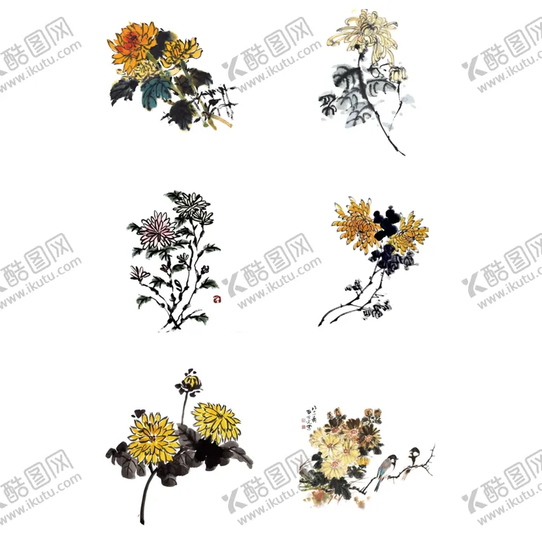 编号：16213710221930369941【酷图网】源文件下载-菊花