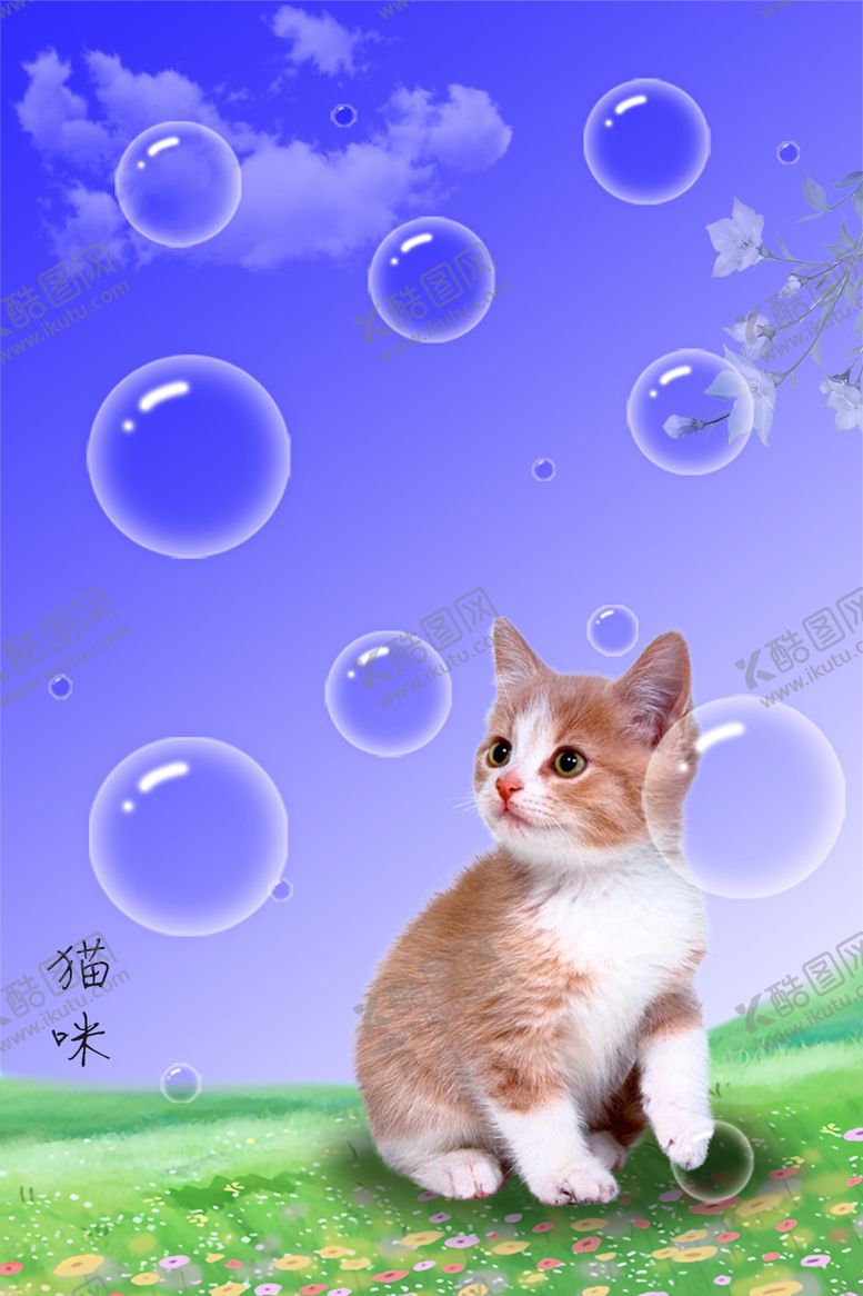 编号：74953909192141443098【酷图网】源文件下载-猫咪壁纸