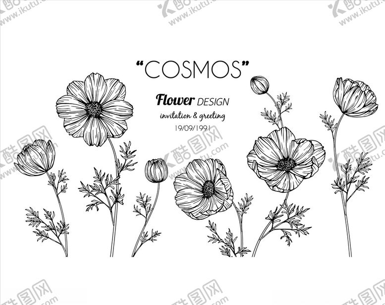 编号：20171410161502506820【酷图网】源文件下载-矢量手绘花朵