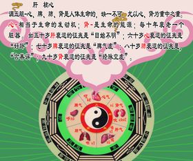 调五脏