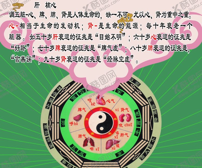 编号：20029809291030473133【酷图网】源文件下载-调五脏