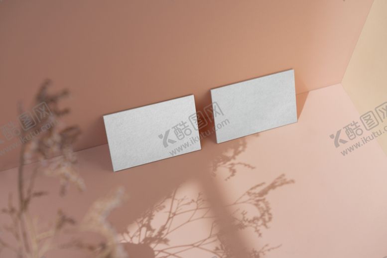 编号：91069109121707372492【酷图网】源文件下载-名片样机