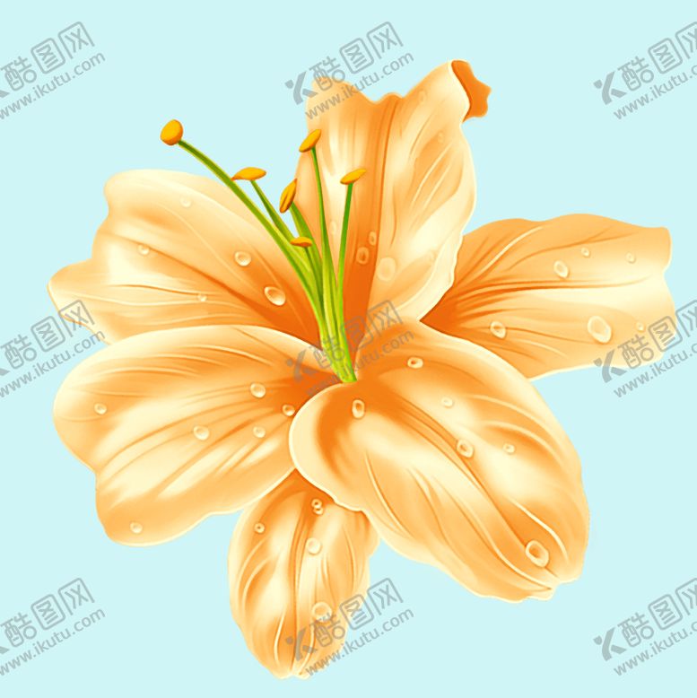 编号：97801510101458527865【酷图网】源文件下载-鲜花百合花 