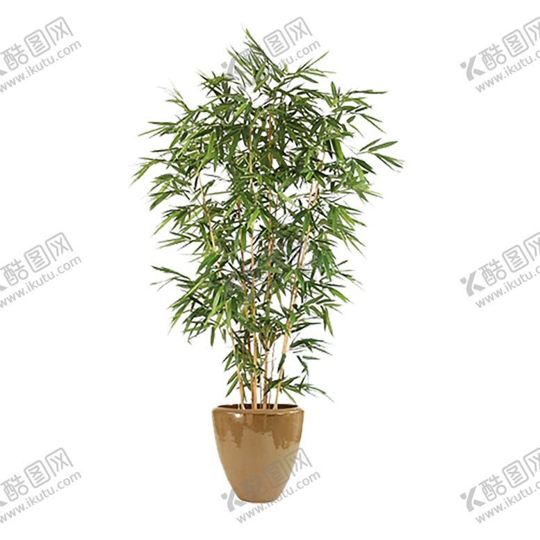 编号：96206210302052475270【酷图网】源文件下载-绿色植物