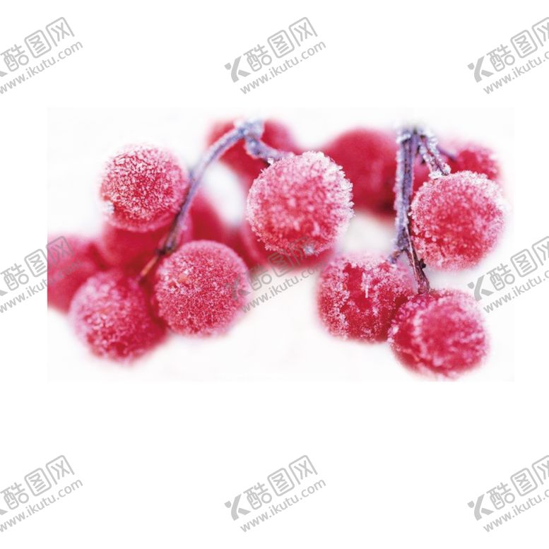 编号：53027803271529117737【酷图网】源文件下载-霜降