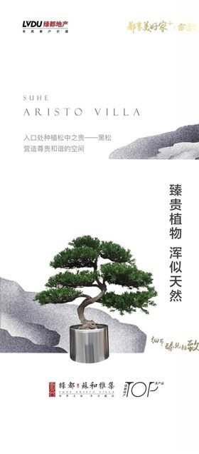 地产刷屏