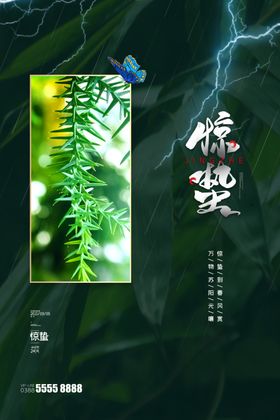 中国风24节气惊蛰节气海报