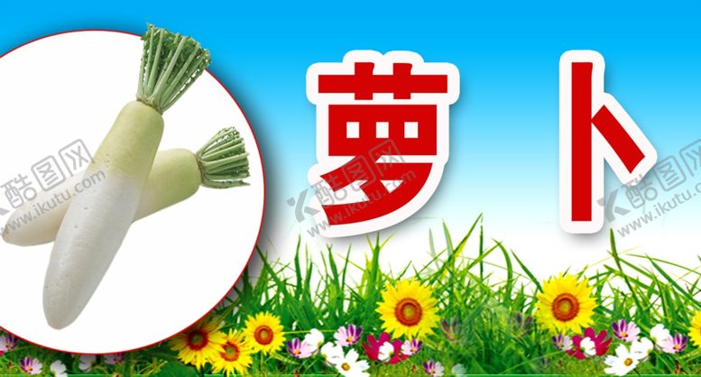 编号：42453306252042509551【酷图网】源文件下载-萝卜