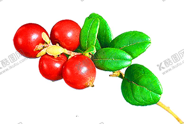 编号：22305209270600401310【酷图网】源文件下载-浪漫素材