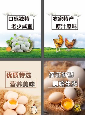土鸡蛋广告