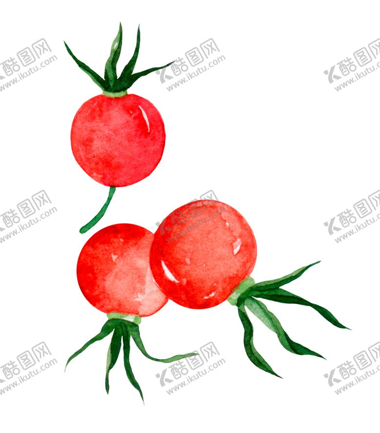 编号：71509805021130454646【酷图网】源文件下载-手绘清新植物