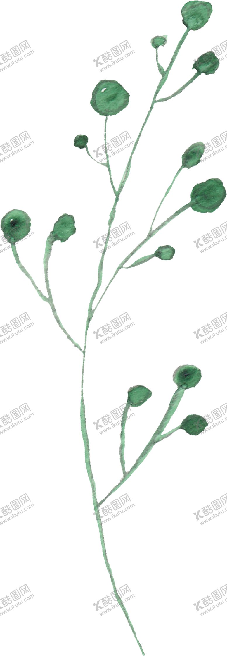 编号：12341705150604257604【酷图网】源文件下载-海报元素花草元素展架元素