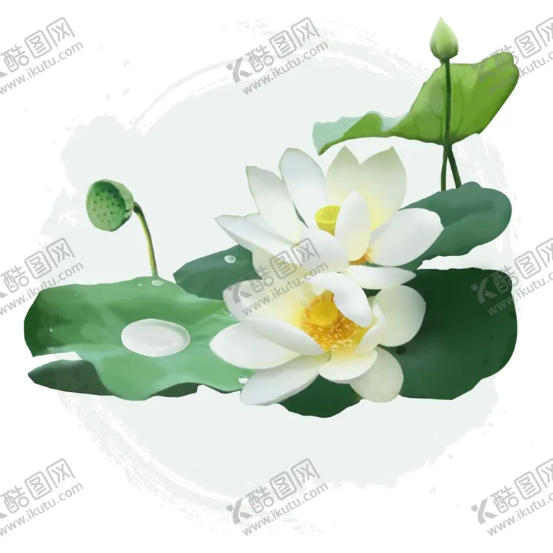 编号：62528504071644123364【酷图网】源文件下载-荷花