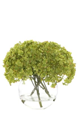 免抠背景花草树木