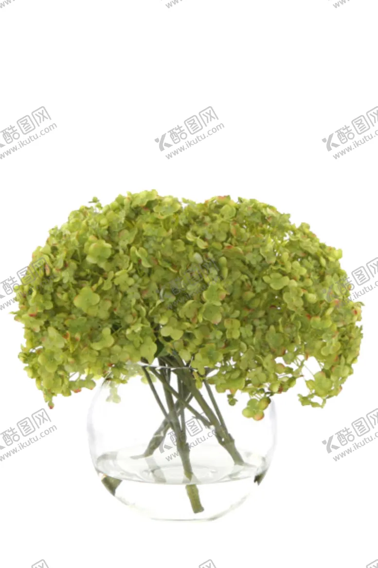 编号：49766006271008392171【酷图网】源文件下载-免抠背景花草树木
