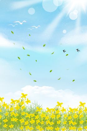 蓝天背景油菜花