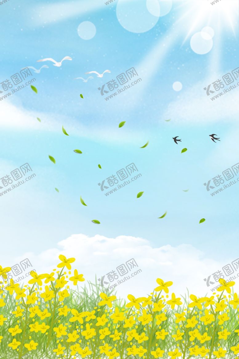 编号：55274109302003413881【酷图网】源文件下载-蓝天背景油菜花